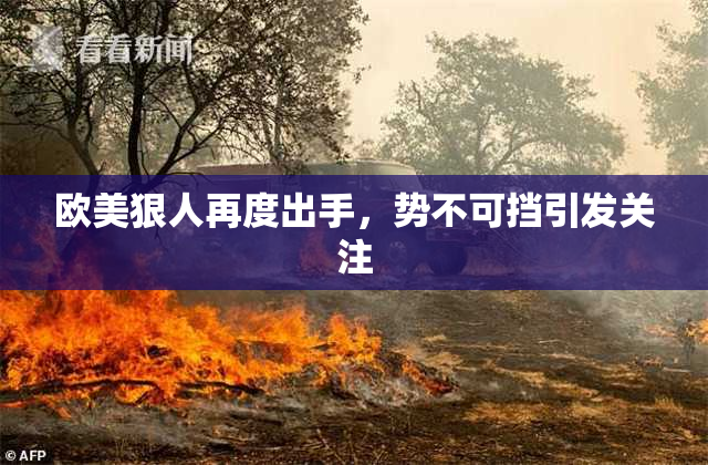 欧美狠人再度出手，势不可挡引发关注