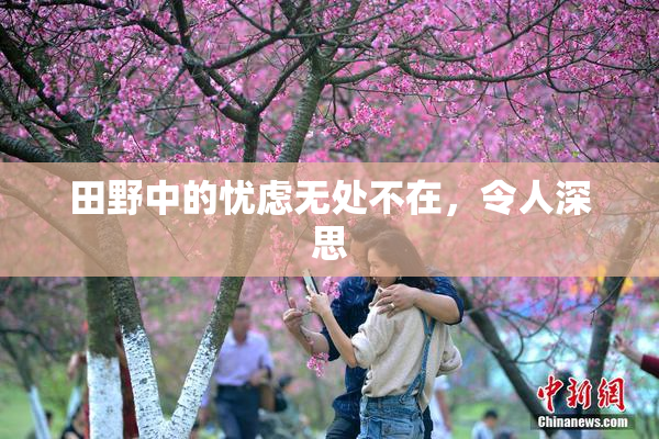 田野中的忧虑无处不在，令人深思