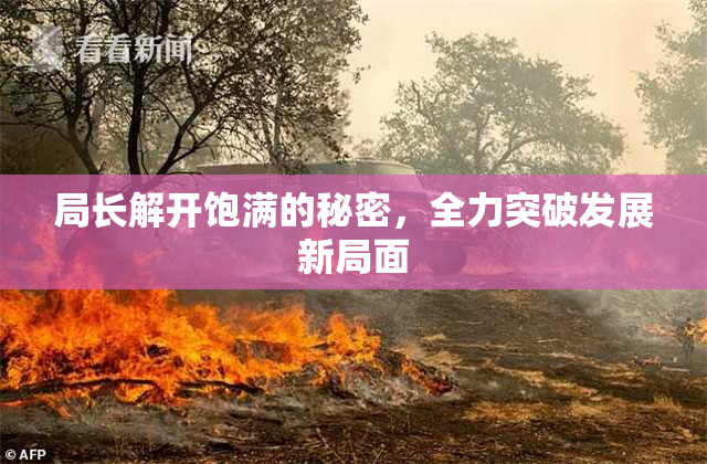 局长解开饱满的秘密，全力突破发展新局面