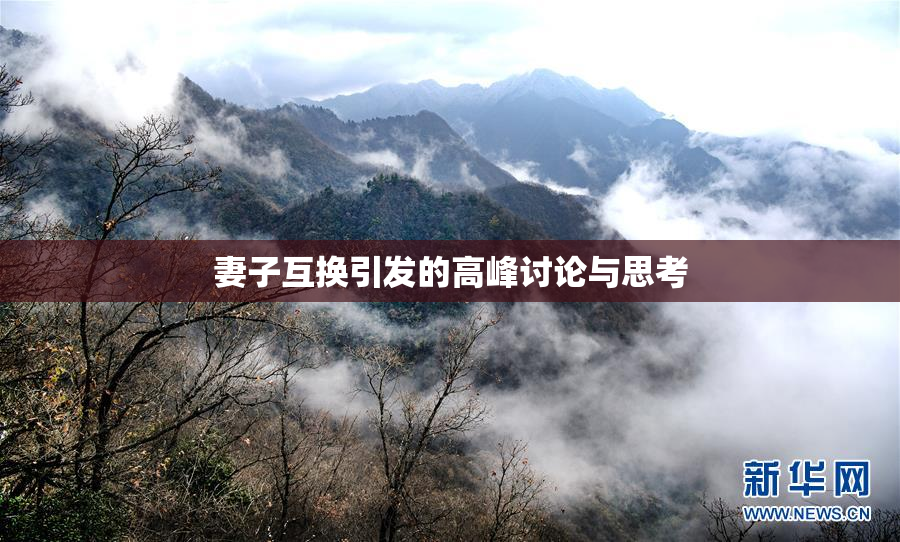 妻子互换引发的高峰讨论与思考