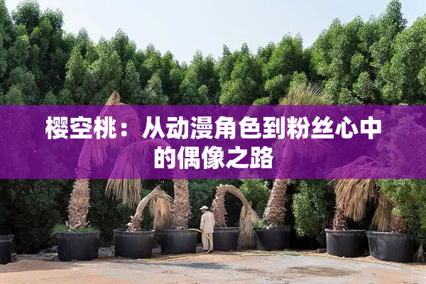 樱空桃：从动漫角色到粉丝心中的偶像之路