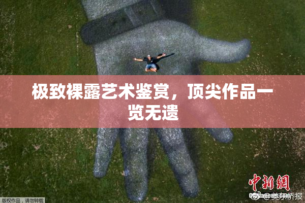 极致裸露艺术鉴赏，顶尖作品一览无遗