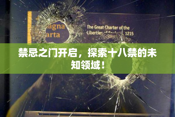 禁忌之门开启，探索十八禁的未知领域！