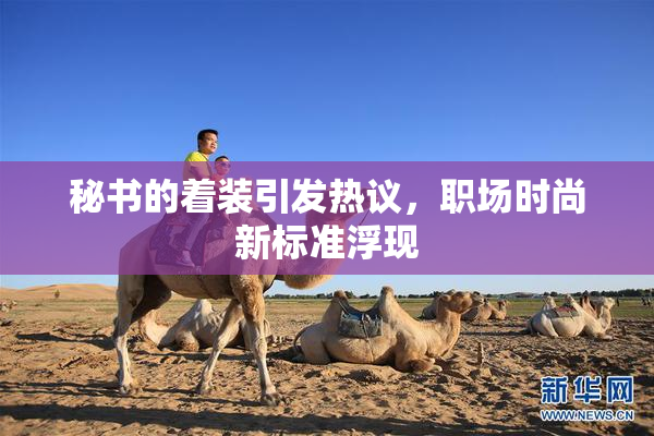 秘书的着装引发热议，职场时尚新标准浮现