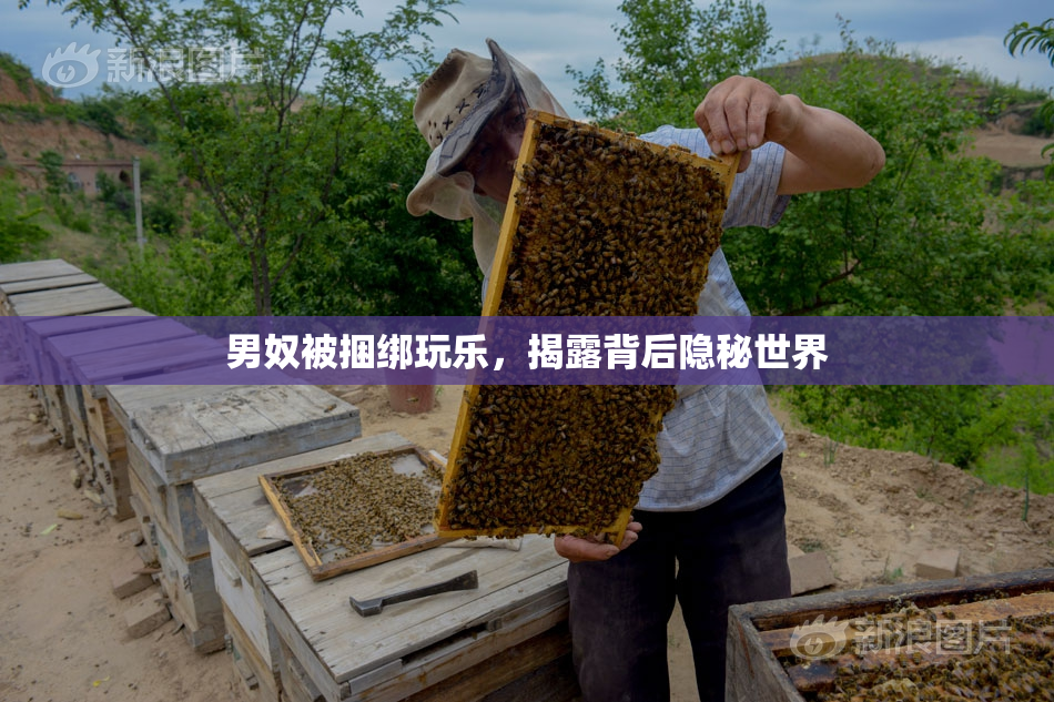 男奴被捆绑玩乐，揭露背后隐秘世界