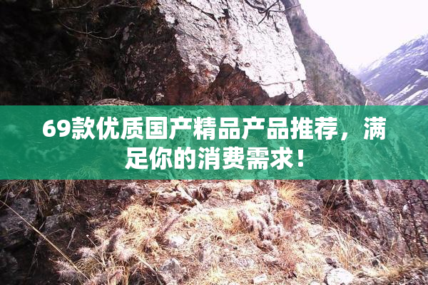 69款优质国产精品产品推荐，满足你的消费需求！