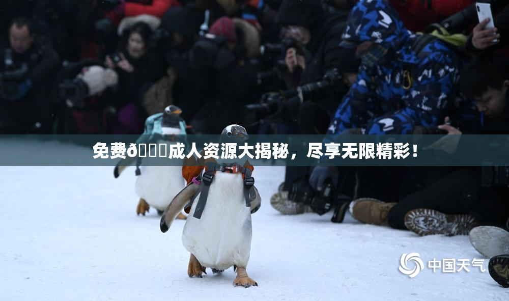 免费🔞成人资源大揭秘，尽享无限精彩！