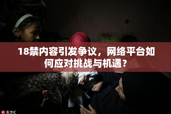 18禁内容引发争议，网络平台如何应对挑战与机遇？