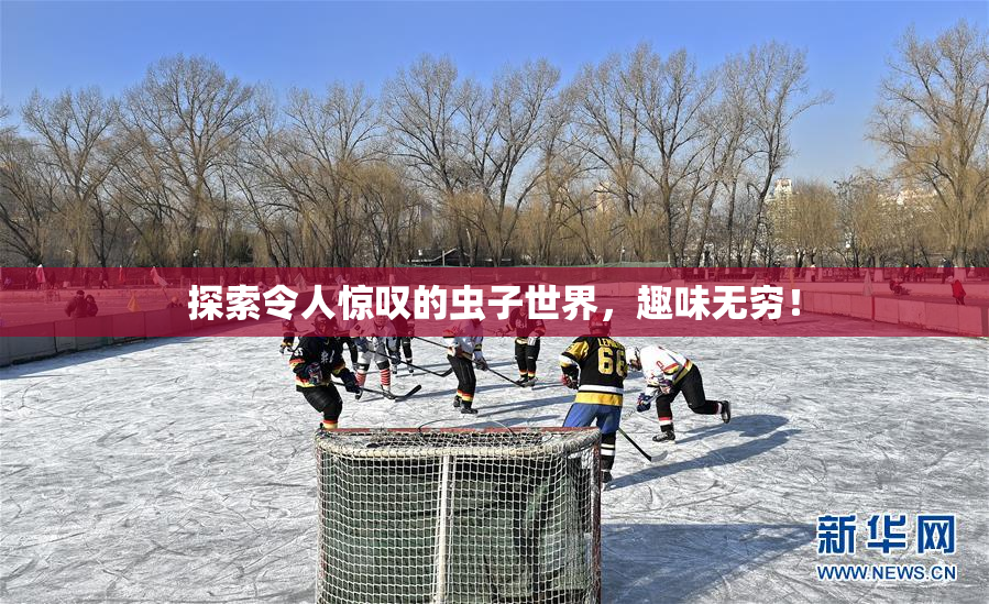 探索令人惊叹的虫子世界，趣味无穷！