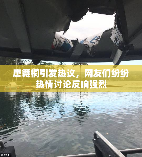 唐舞桐引发热议，网友们纷纷热情讨论反响强烈