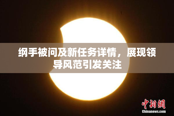 纲手被问及新任务详情，展现领导风范引发关注