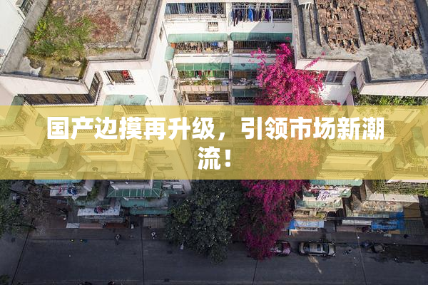 国产边摸再升级，引领市场新潮流！