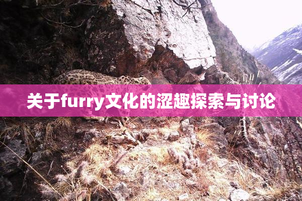 关于furry文化的涩趣探索与讨论