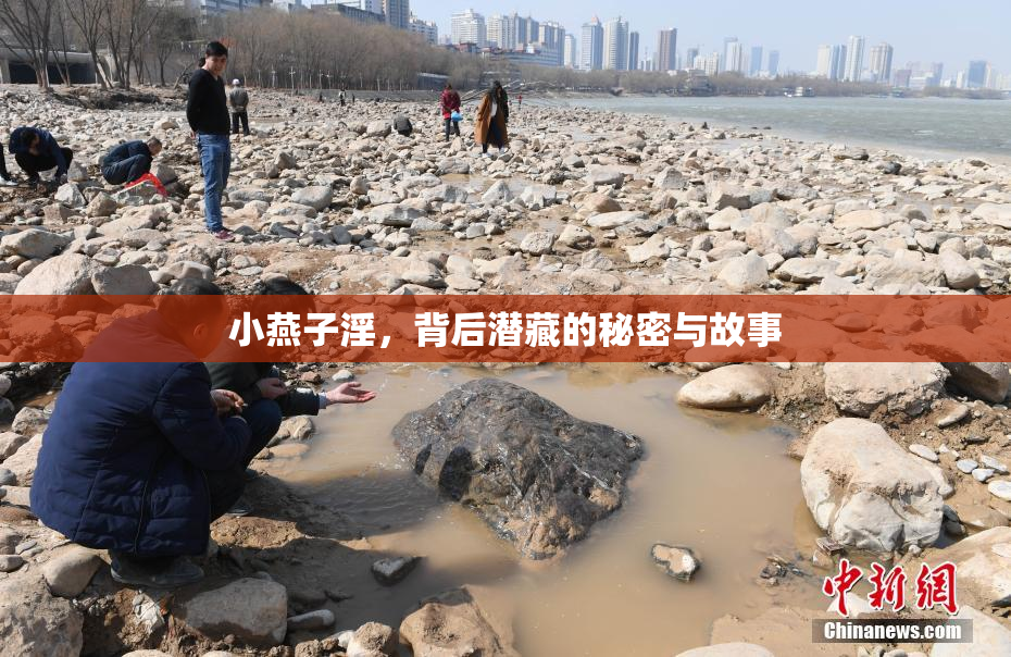 小燕子淫，背后潜藏的秘密与故事