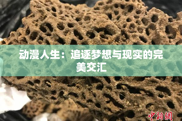 动漫人生：追逐梦想与现实的完美交汇