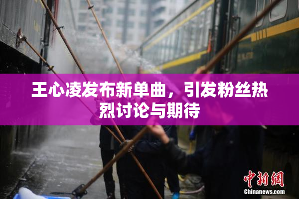 王心凌发布新单曲，引发粉丝热烈讨论与期待