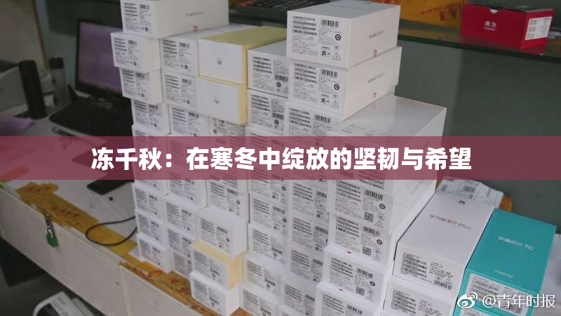 冻千秋：在寒冬中绽放的坚韧与希望