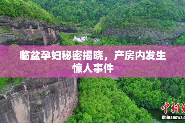 临盆孕妇秘密揭晓，产房内发生惊人事件