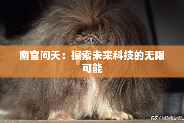 南宫问天：探索未来科技的无限可能