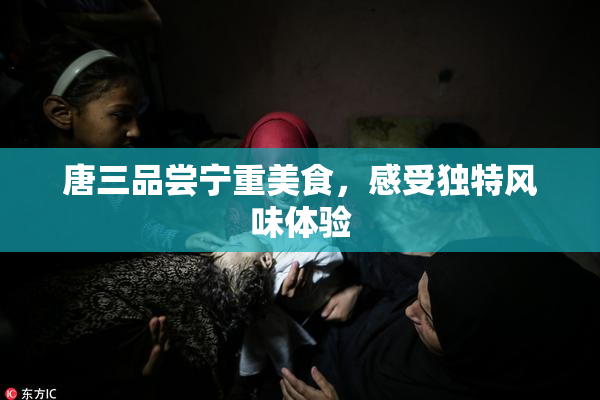 唐三品尝宁重美食，感受独特风味体验