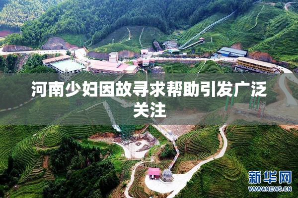 河南少妇因故寻求帮助引发广泛关注