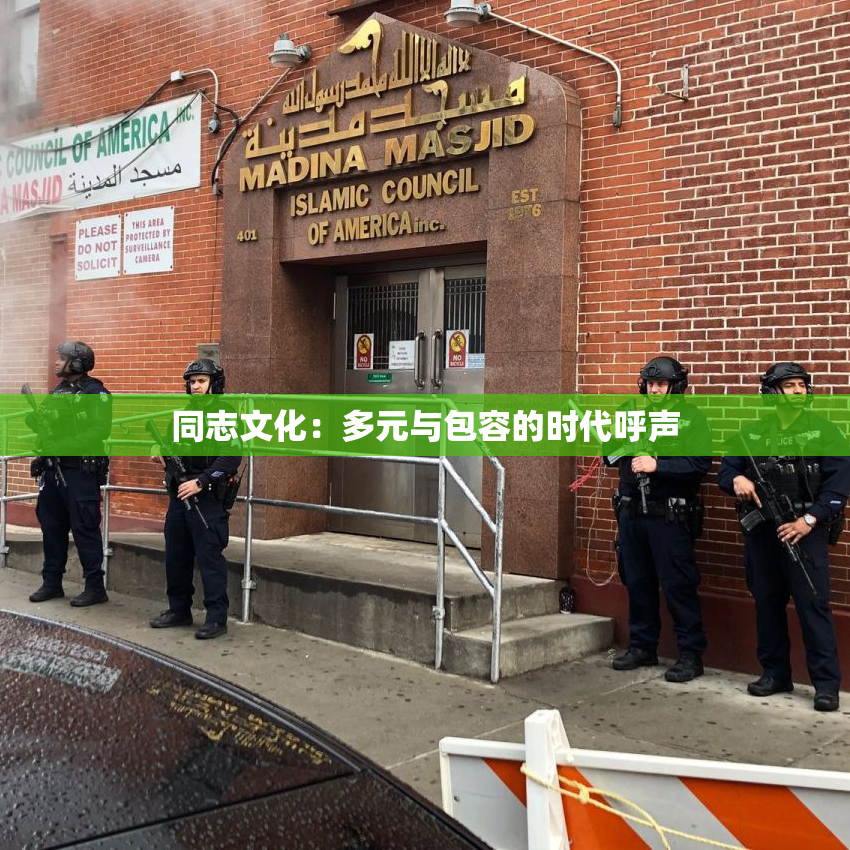 同志文化：多元与包容的时代呼声