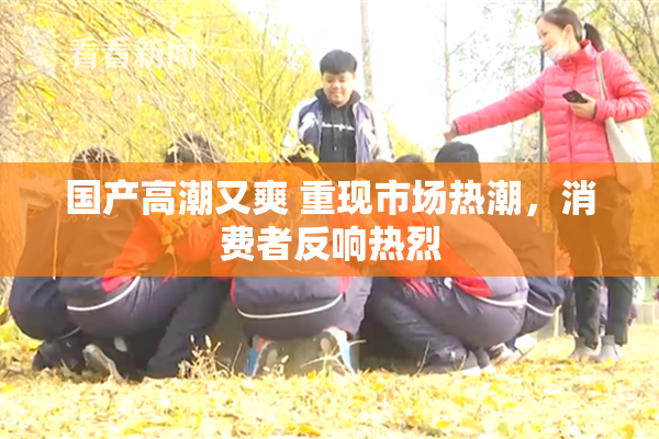 国产高潮又爽 重现市场热潮，消费者反响热烈
