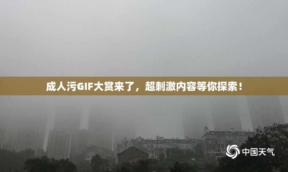 成人污GIF大赏来了，超刺激内容等你探索！