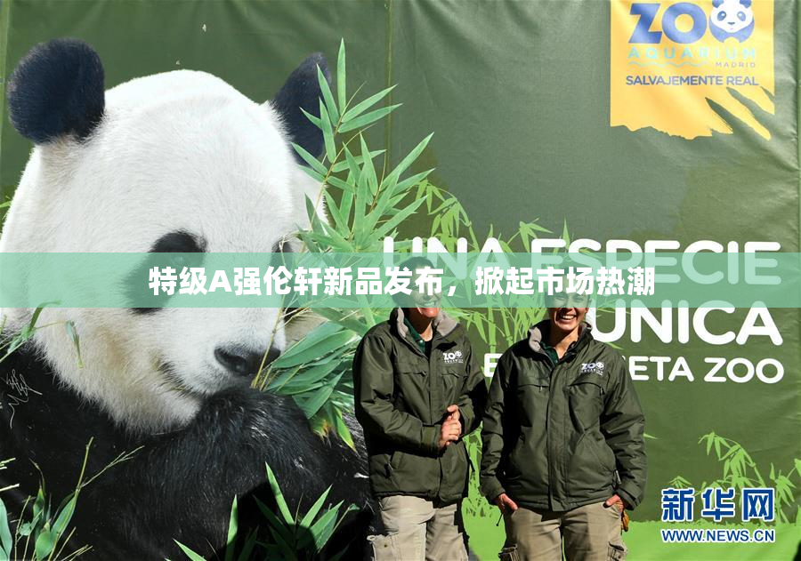 特级A强伦轩新品发布，掀起市场热潮