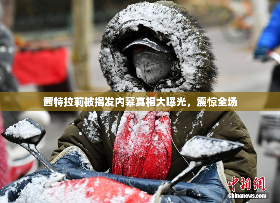 茜特拉莉被揭发内幕真相大曝光，震惊全场