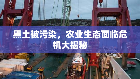黑土被污染，农业生态面临危机大揭秘