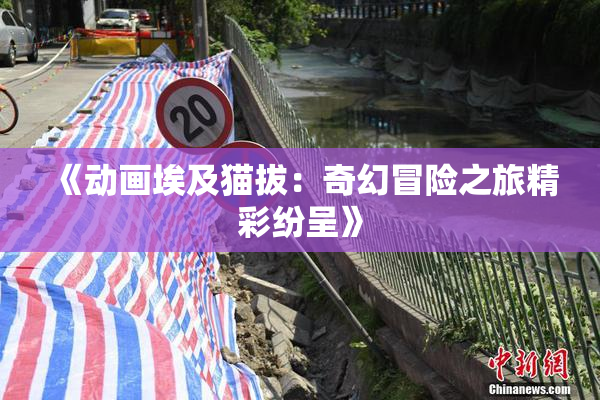《动画埃及猫拔：奇幻冒险之旅精彩纷呈》