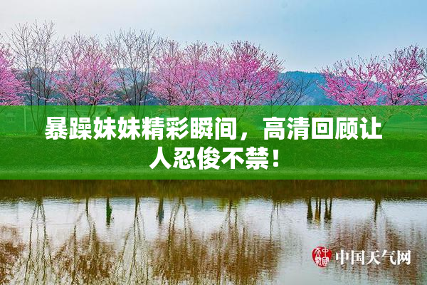 暴躁妹妹精彩瞬间，高清回顾让人忍俊不禁！