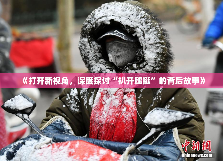 《打开新视角，深度探讨“扒开腿挺”的背后故事》