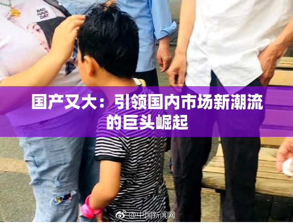 国产又大：引领国内市场新潮流的巨头崛起