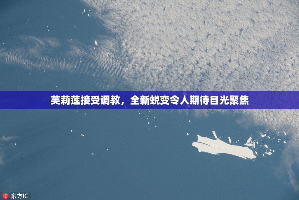 芙莉莲接受调教，全新蜕变令人期待目光聚焦