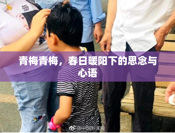 青梅青梅，春日暖阳下的思念与心语