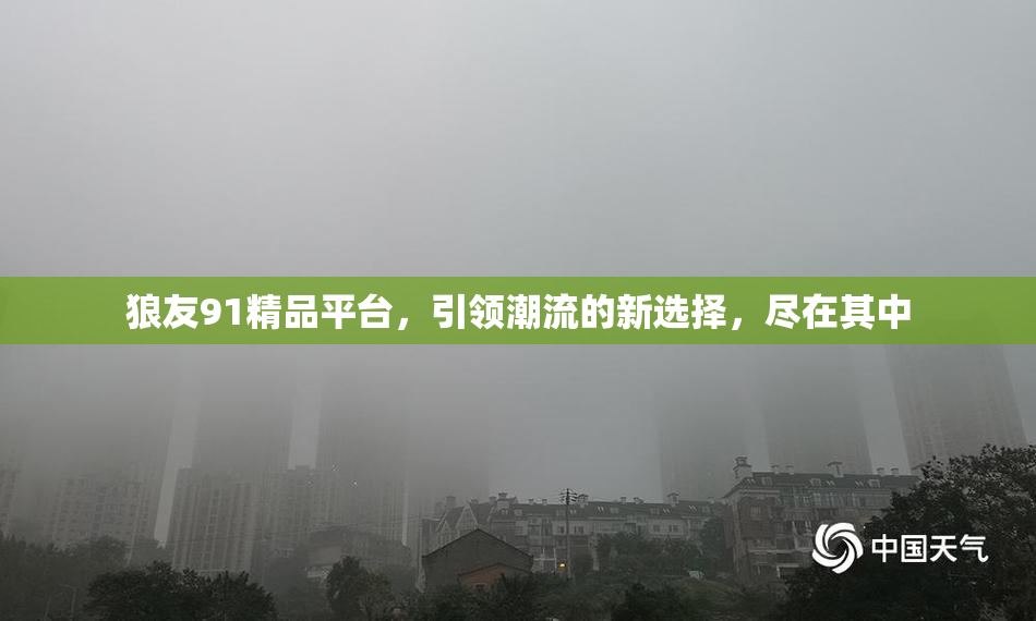 狼友91精品平台，引领潮流的新选择，尽在其中