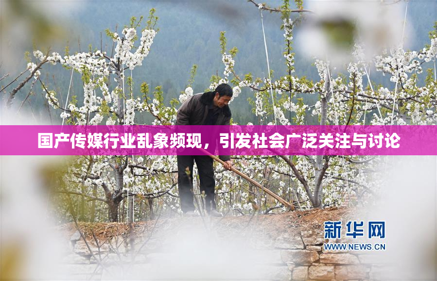 国产传媒行业乱象频现，引发社会广泛关注与讨论