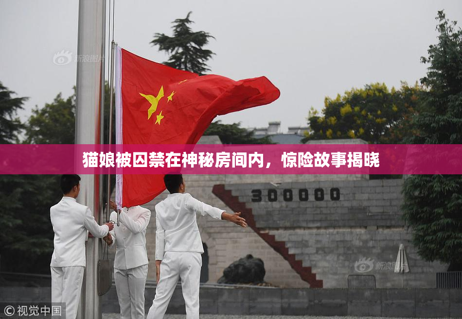 猫娘被囚禁在神秘房间内，惊险故事揭晓