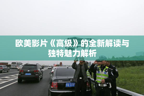 欧美影片《高级》的全新解读与独特魅力解析
