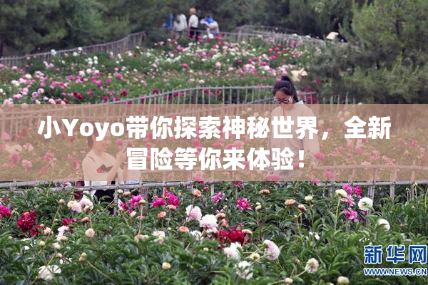 小Yoyo带你探索神秘世界，全新冒险等你来体验！