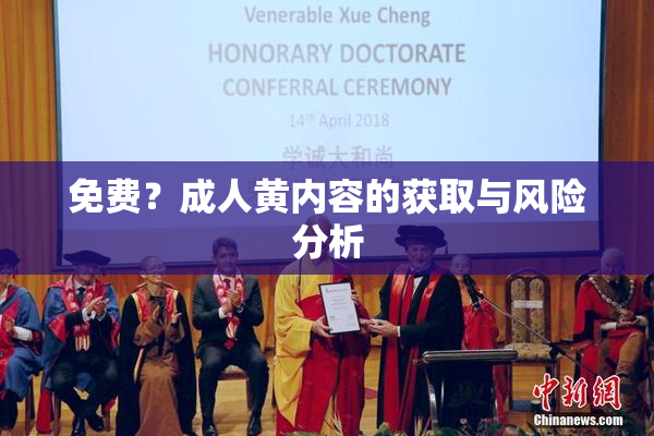 免费？成人黄内容的获取与风险分析