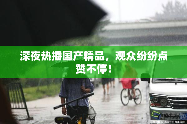 深夜热播国产精品，观众纷纷点赞不停！