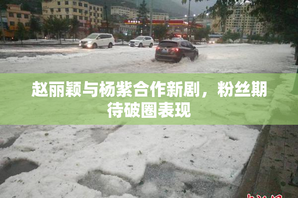 赵丽颖与杨紫合作新剧，粉丝期待破圈表现