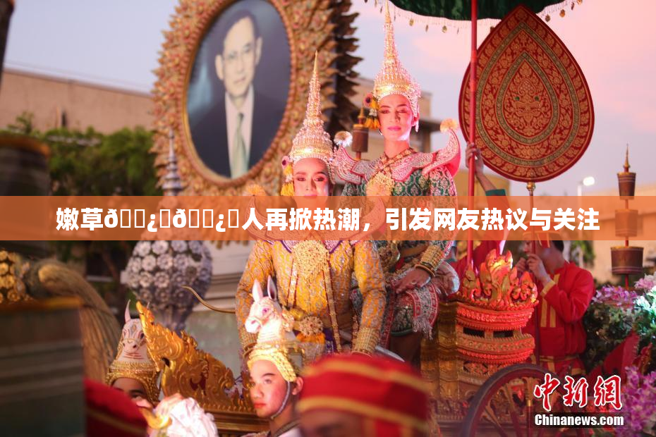 嫩草🌿‌🌿‌人再掀热潮，引发网友热议与关注