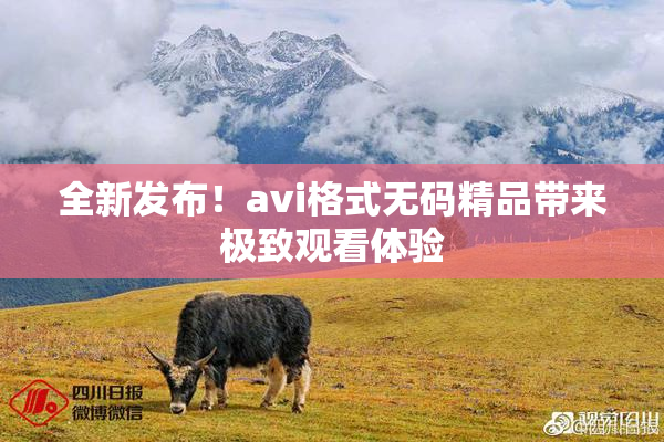 全新发布！avi格式无码精品带来极致观看体验