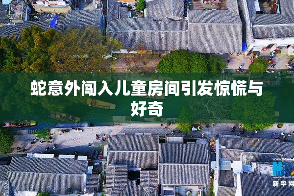 蛇意外闯入儿童房间引发惊慌与好奇