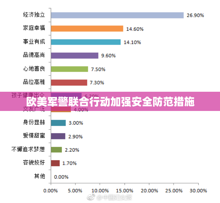 欧美军警联合行动加强安全防范措施