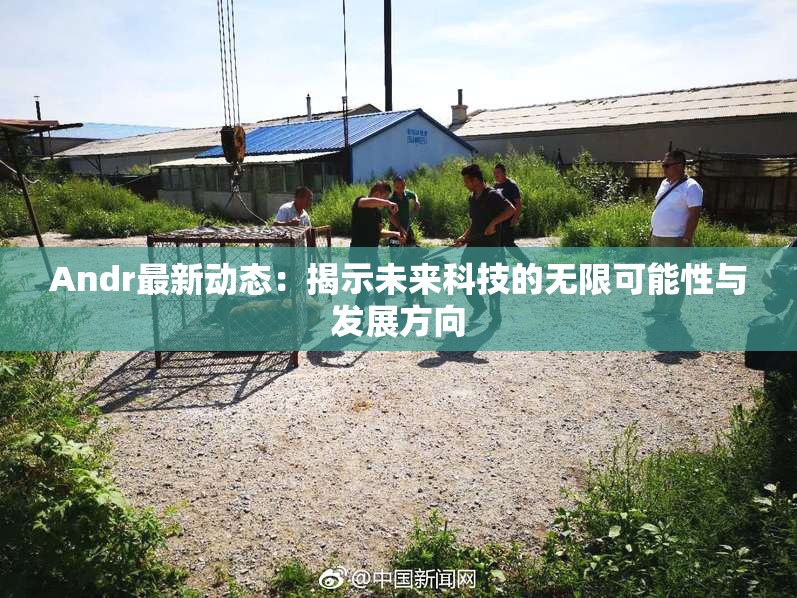 Andr最新动态：揭示未来科技的无限可能性与发展方向